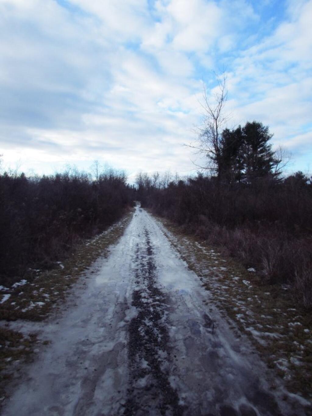 Photo:  Icy