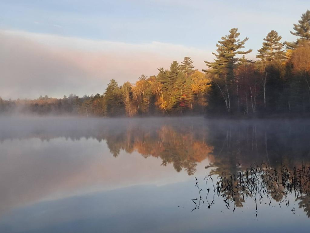 Photo: East Pine Pond