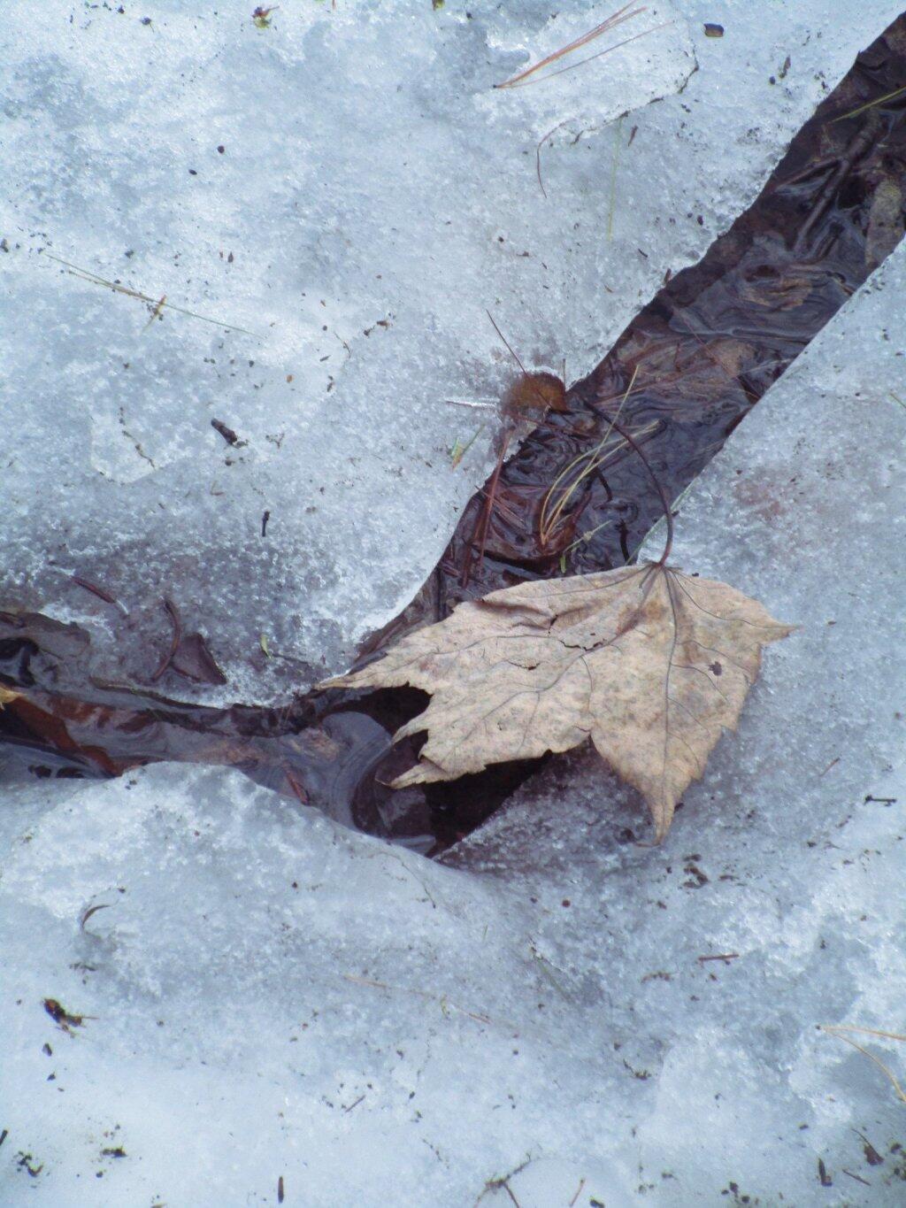 Photo: Crack In The Ice