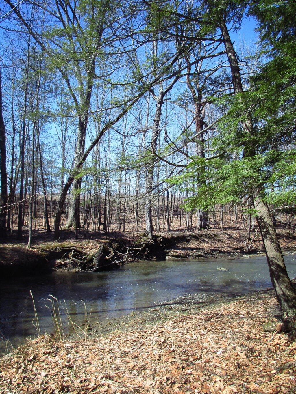 Photo: Nice Spring Day On The Vlomans Kill