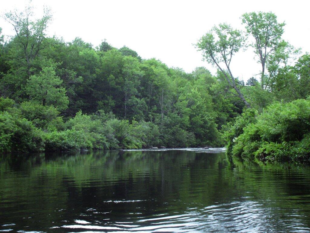 Photo: Where Auger Flats Ends And The Falls Begin