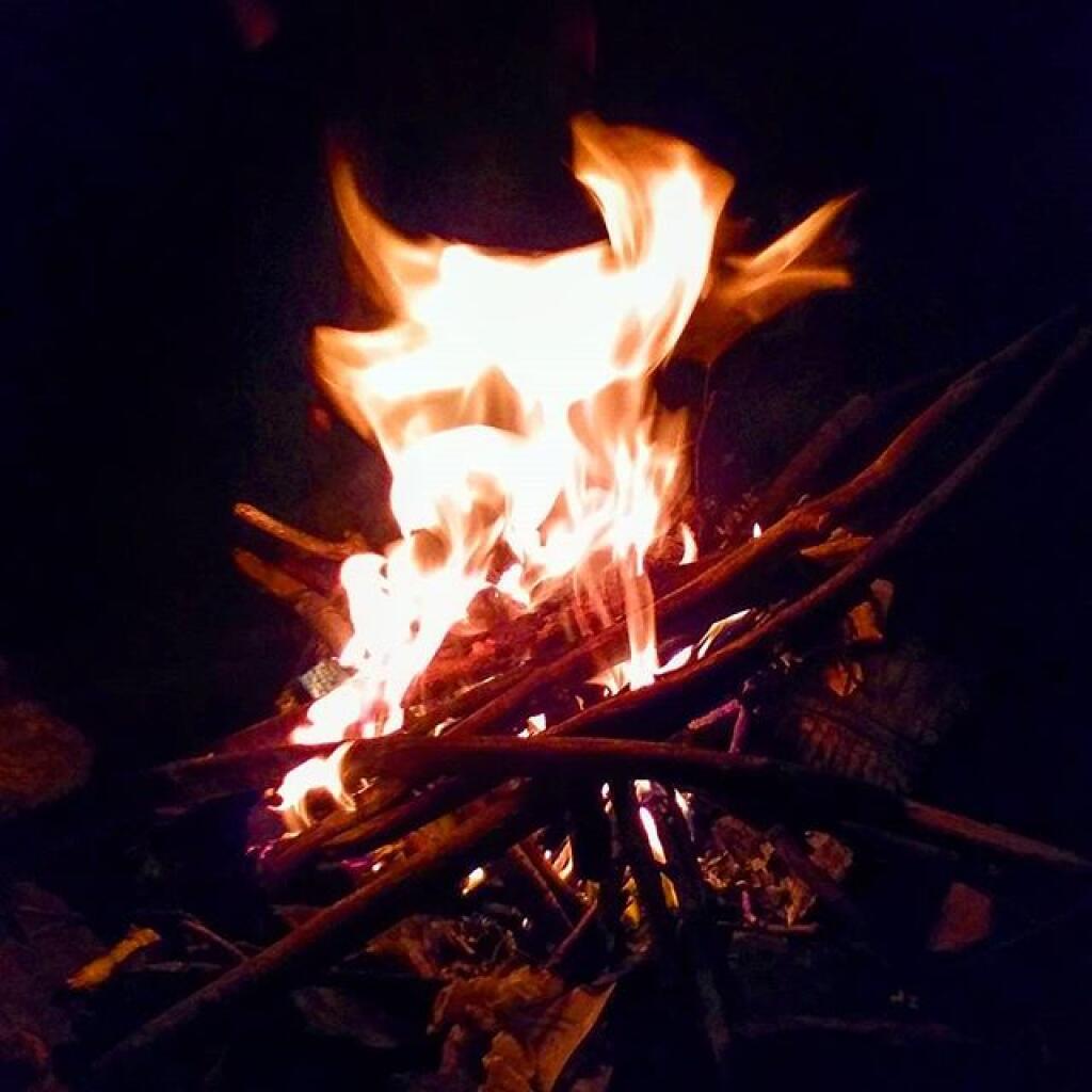 Photo: Despite the great flood most of my firewood remained dry