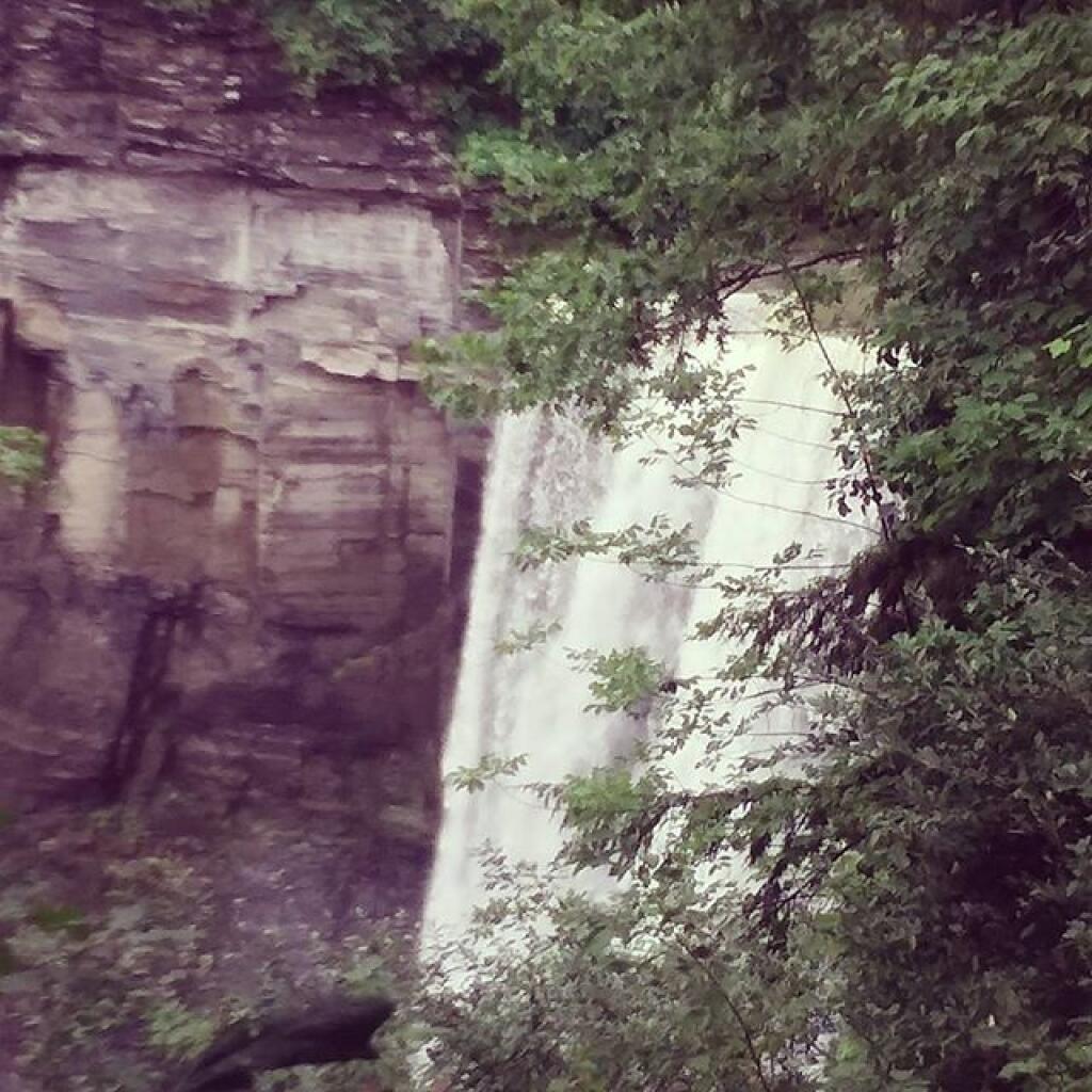 Photo: Quite wet