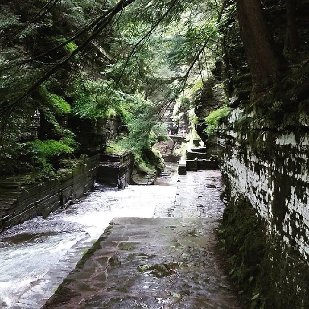 Photo: Enfield Glen