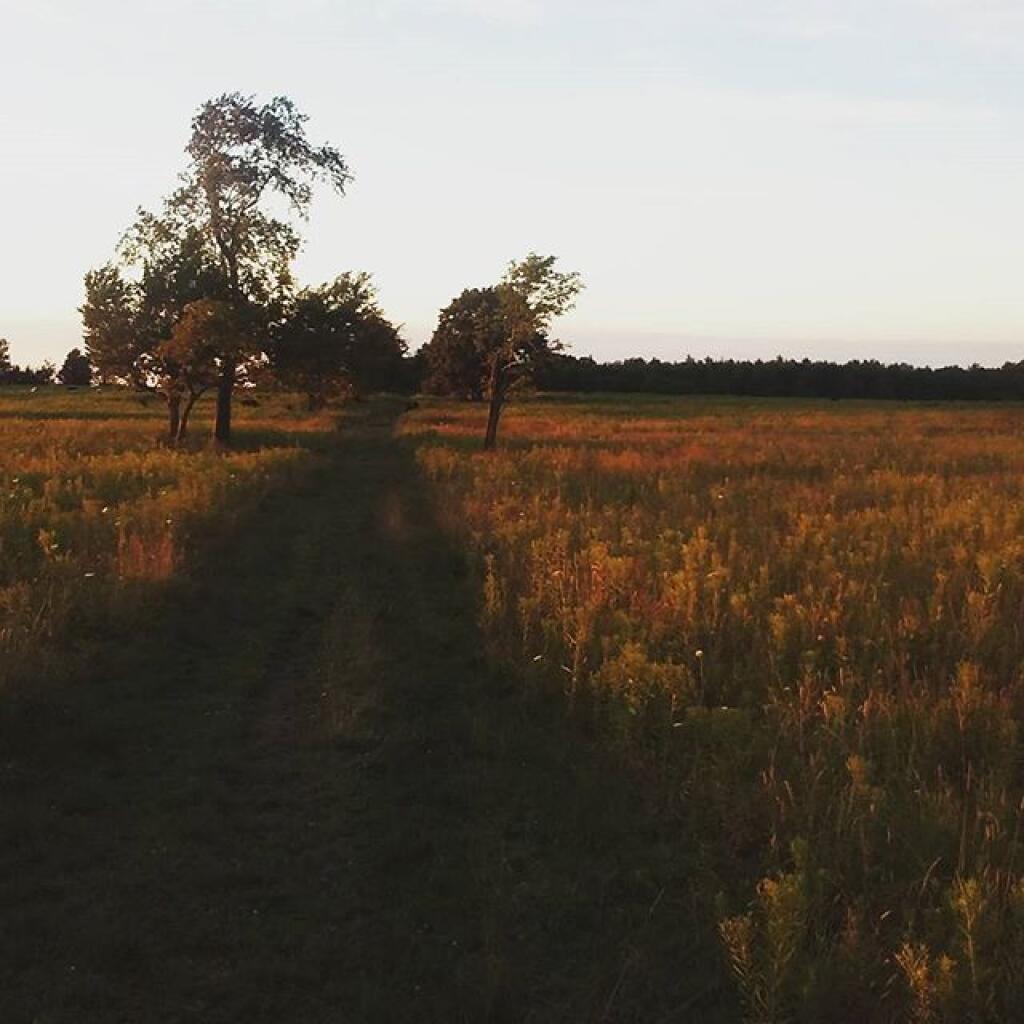 Photo: Interloken Trail