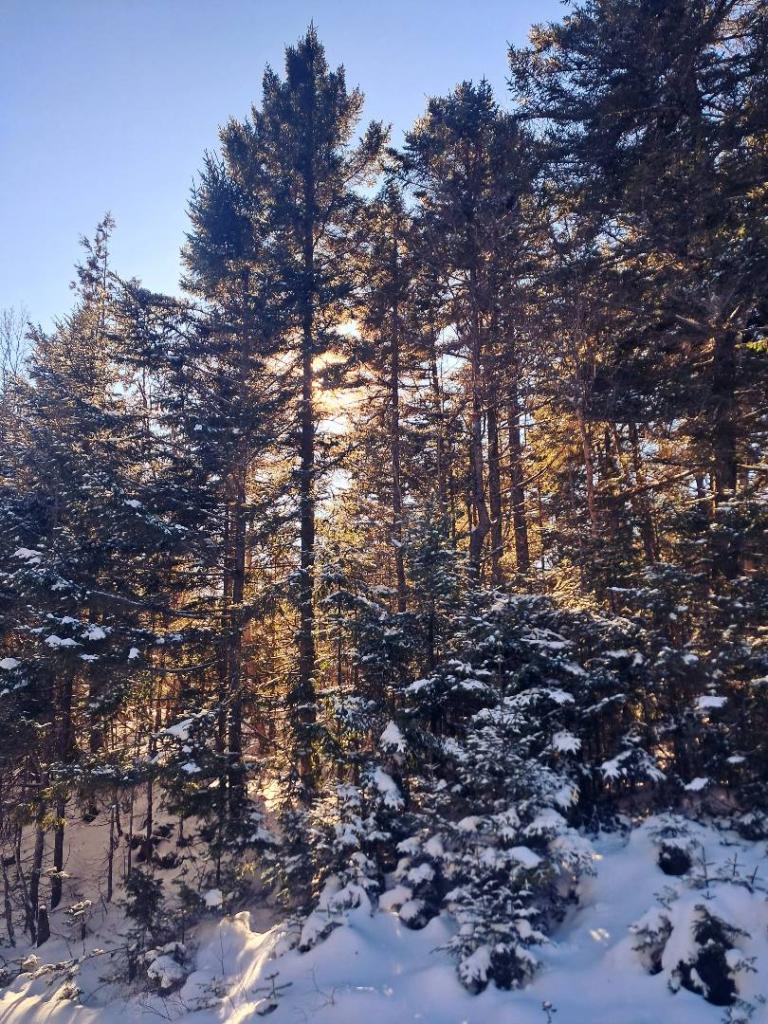 Photo: Amazing but Cold Afternoon