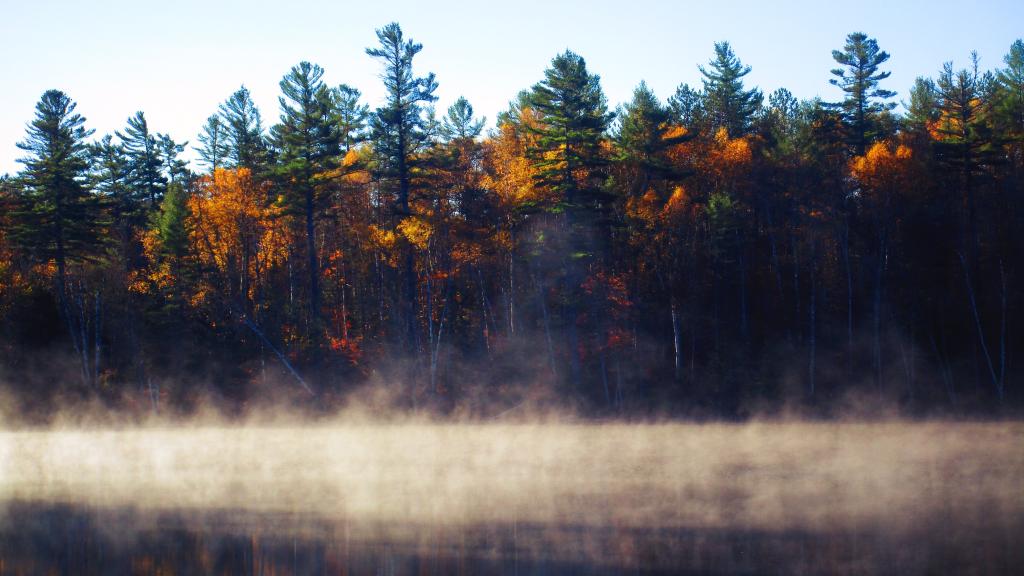 Photo: Fog Rises Over Rollins Pond
