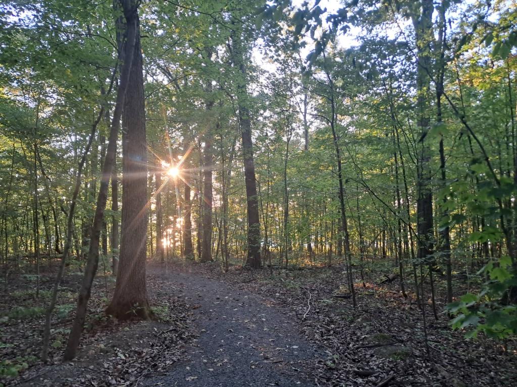Photo: Accessible Trail to the Cliffs