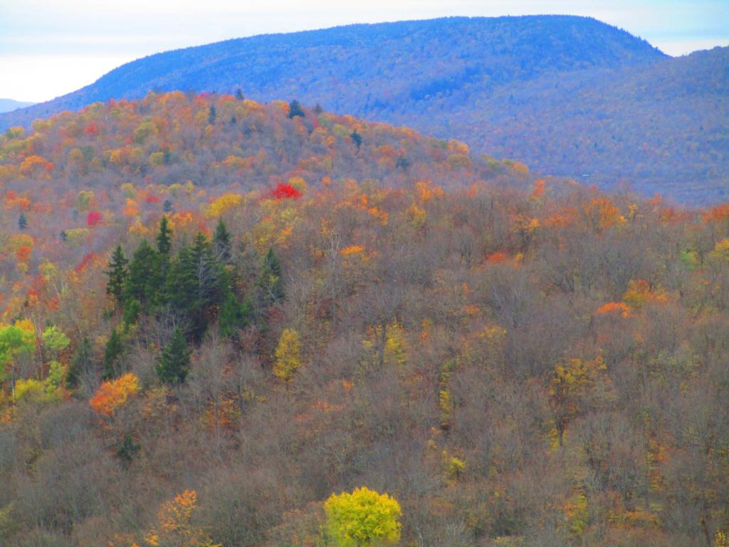 Photo: Iron Mountain