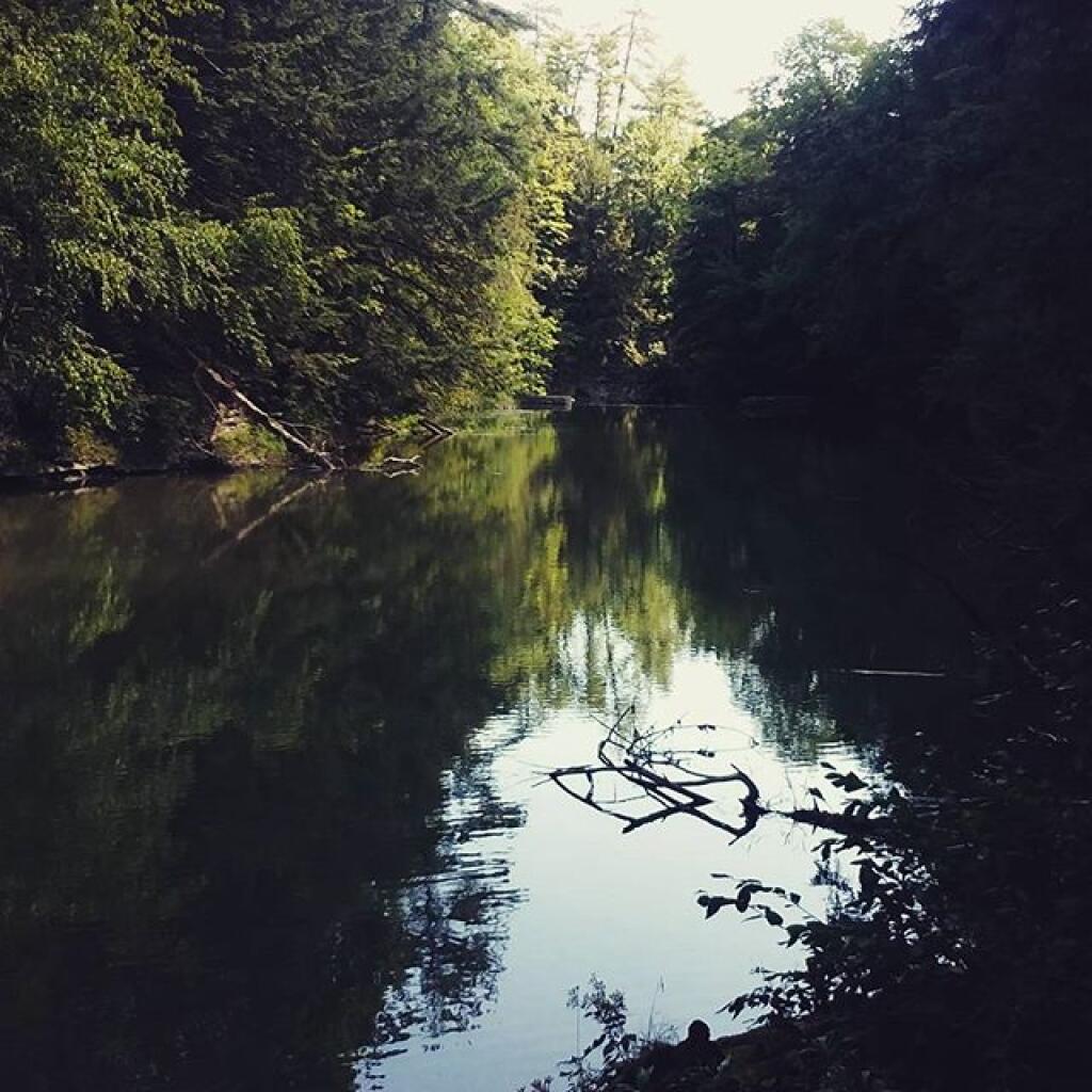 Photo: East on the Reservior