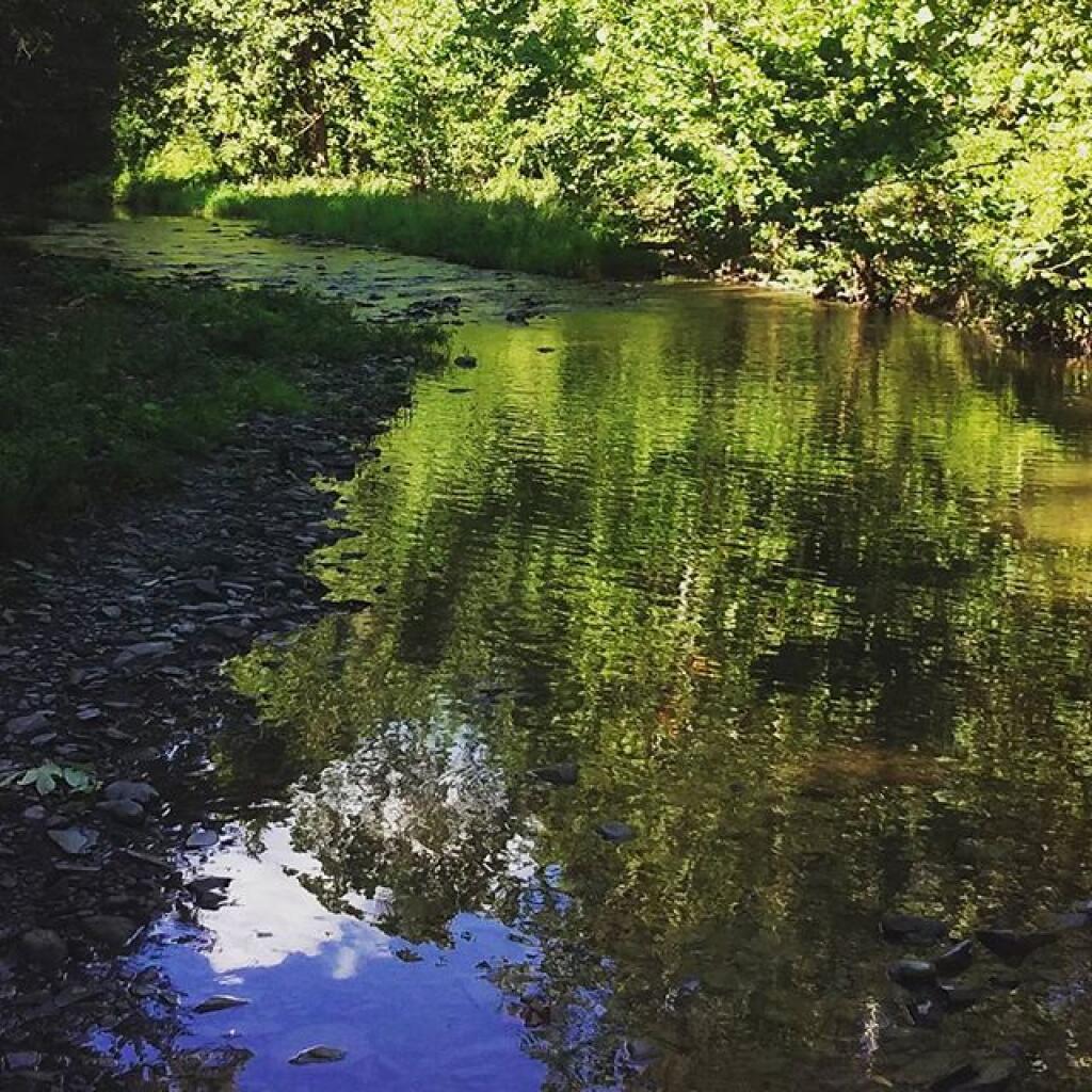 Photo: Upper Glen Creek is so placid Photo: Upper Glen Creek is so placid