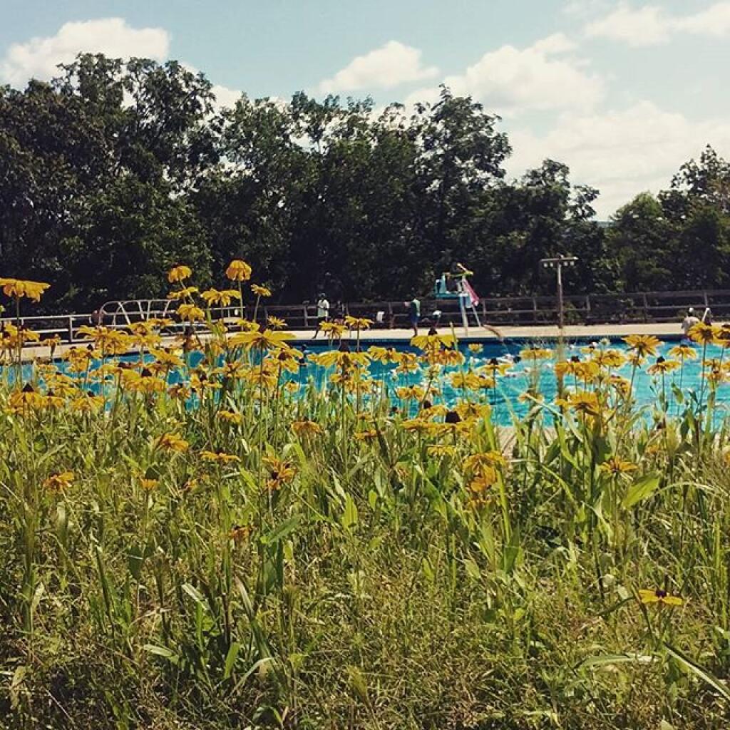 Photo: Summer Photo: Summer