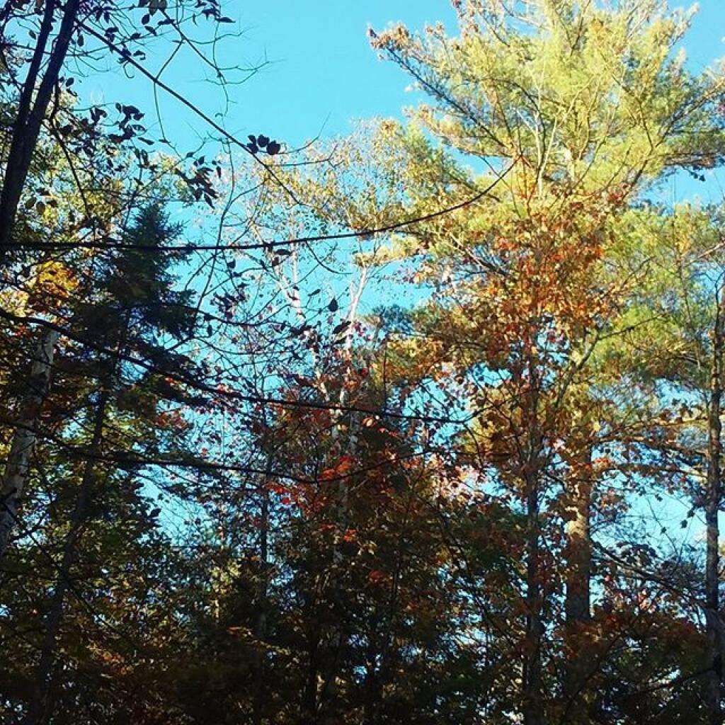 Photo: Nice morning