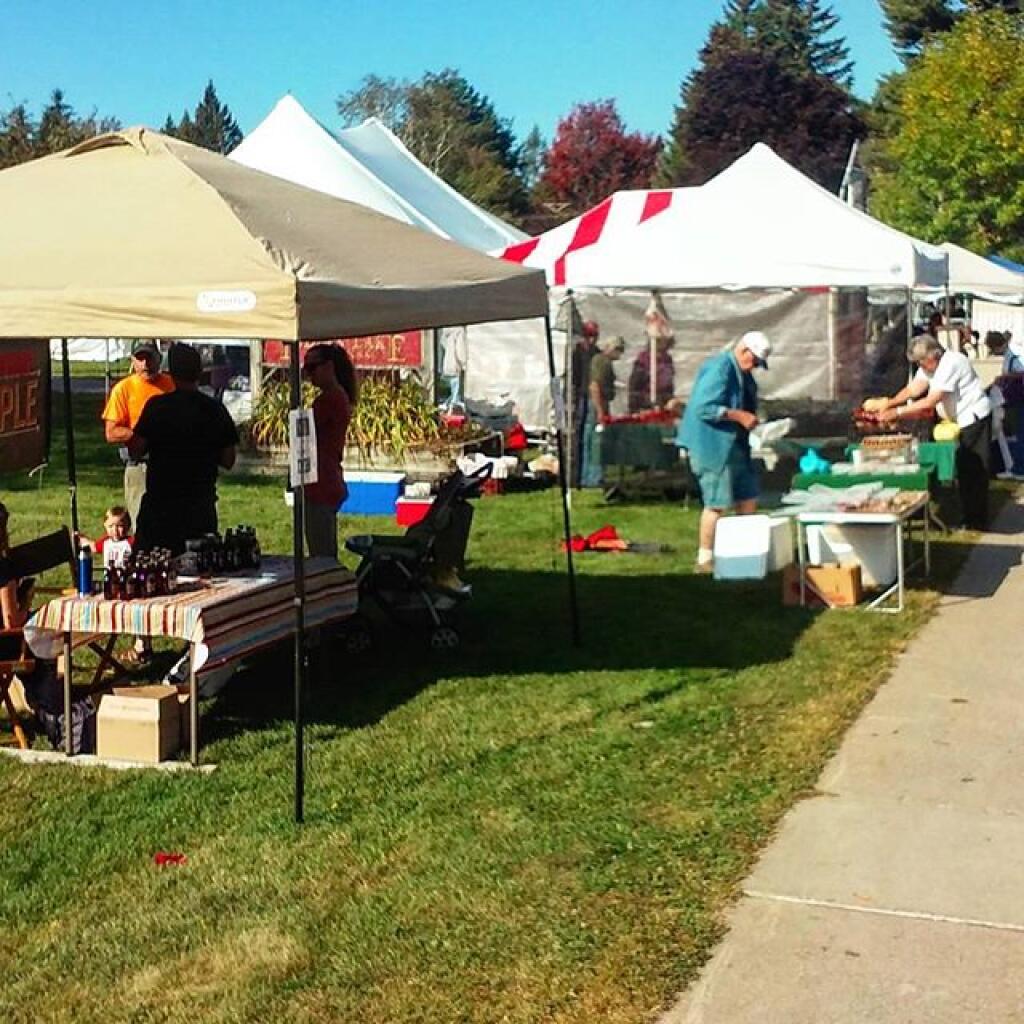 Photo: Great Moose Festival in Indian Lake