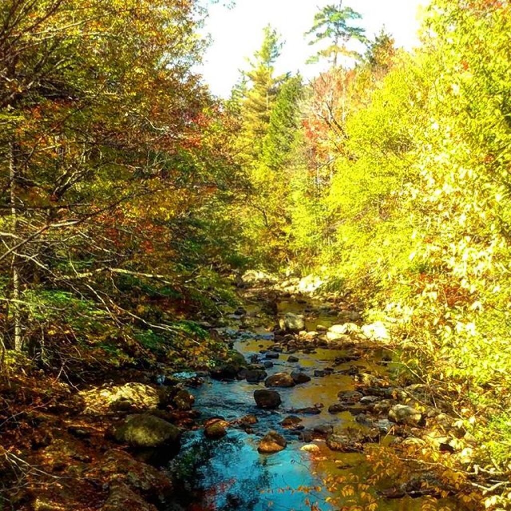 Photo: Otter Brook
