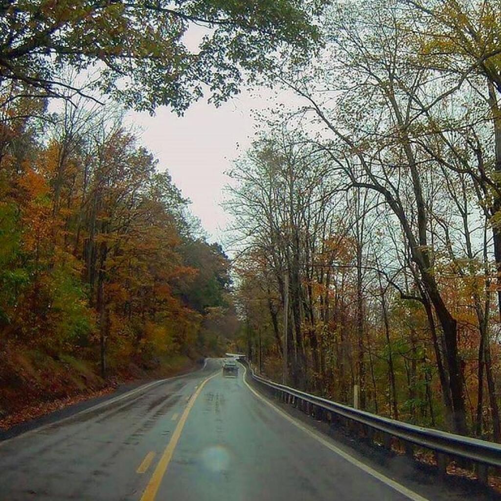 Photo: US 219 North of Thomas