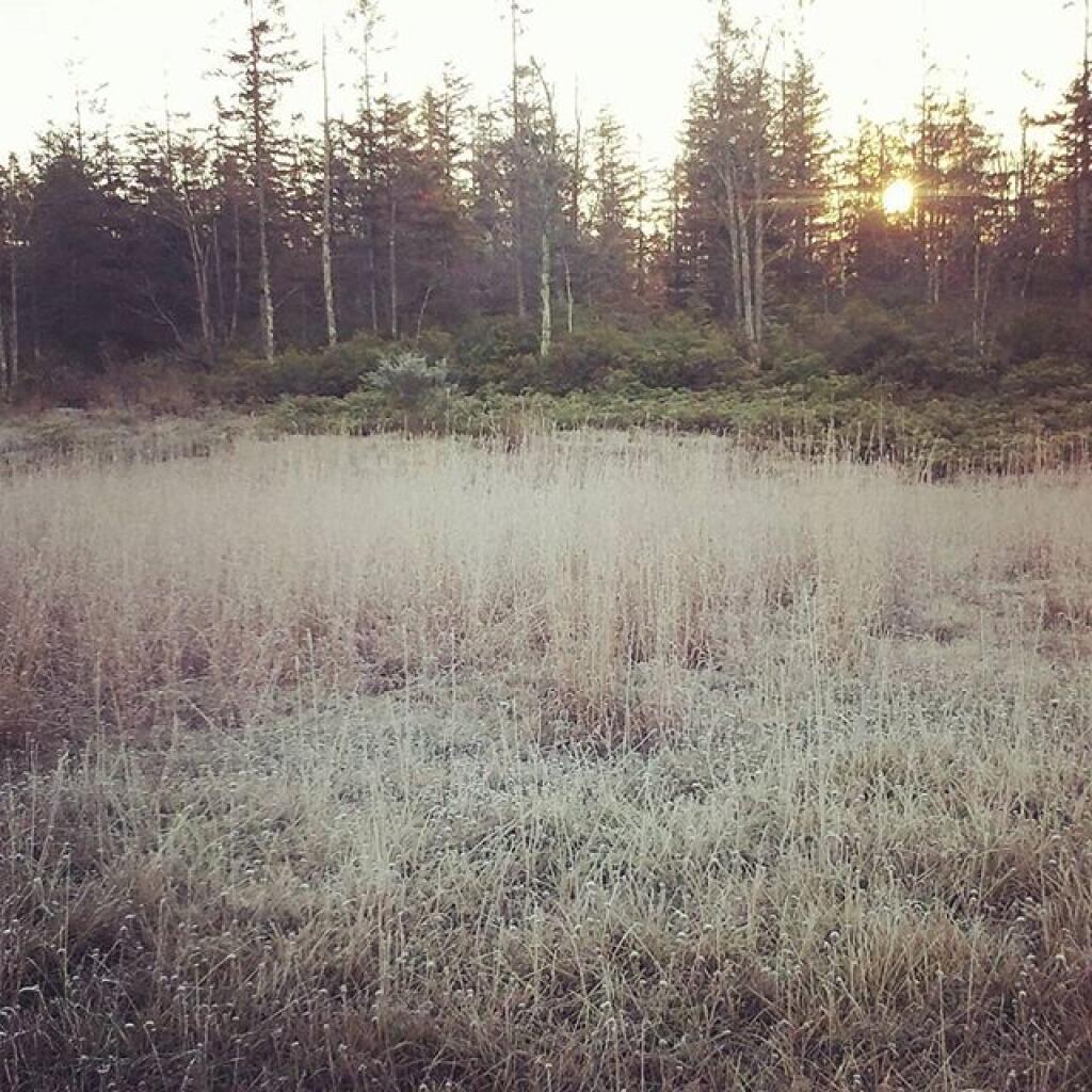 Photo: Heavy frost