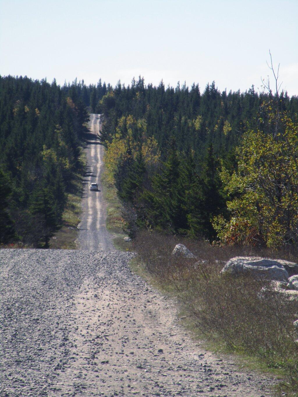 Photo: Dolly Sods Road Photo: Dolly Sods Road