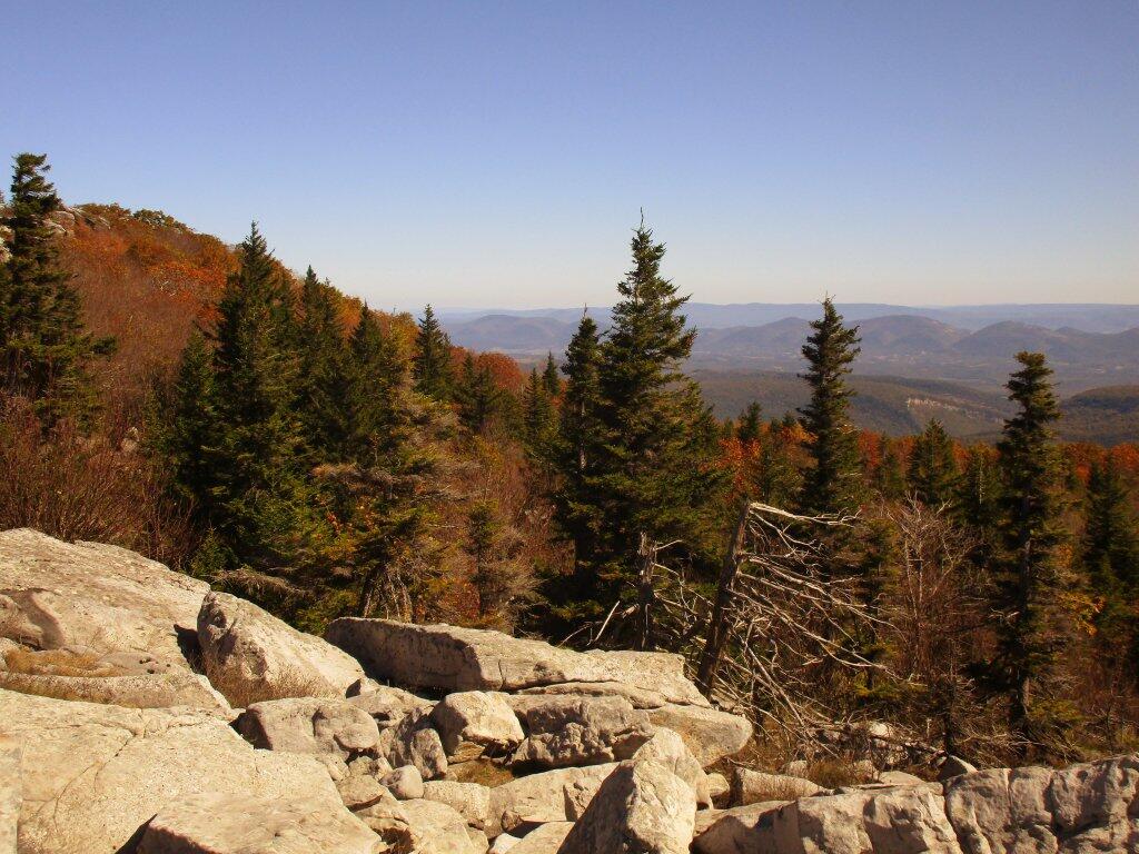 Photo: North From Dolly Sods Photo: North From Dolly Sods