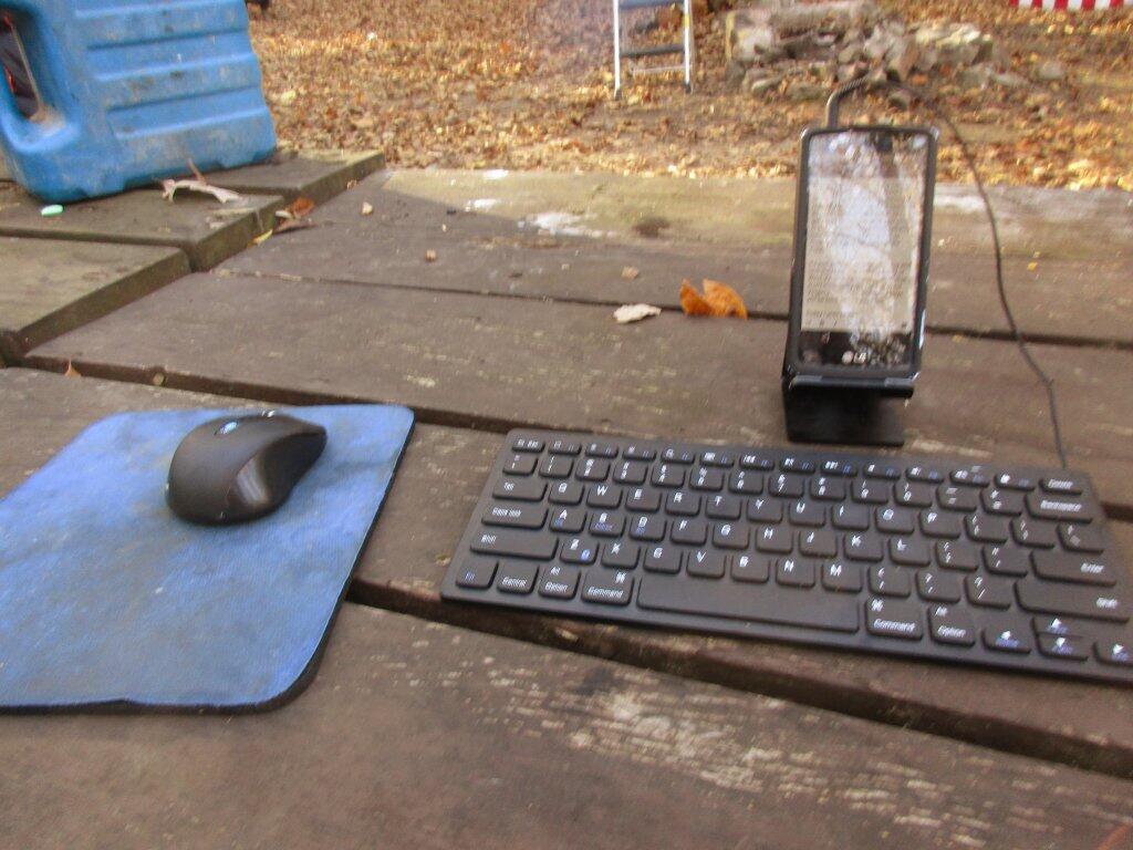 Photo: Blogging