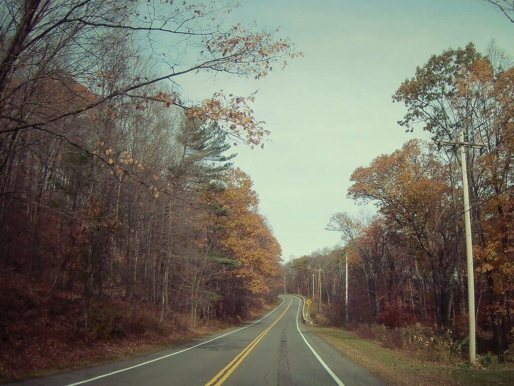 Photo: NY 157 To Thatcher Park