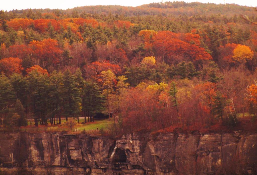 Photo: Paint Mine Falls