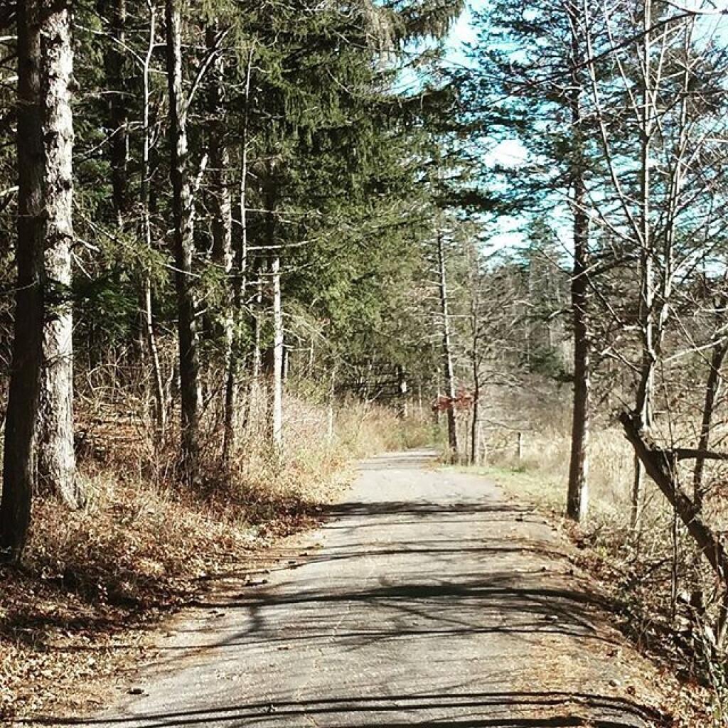Photo: Roadway