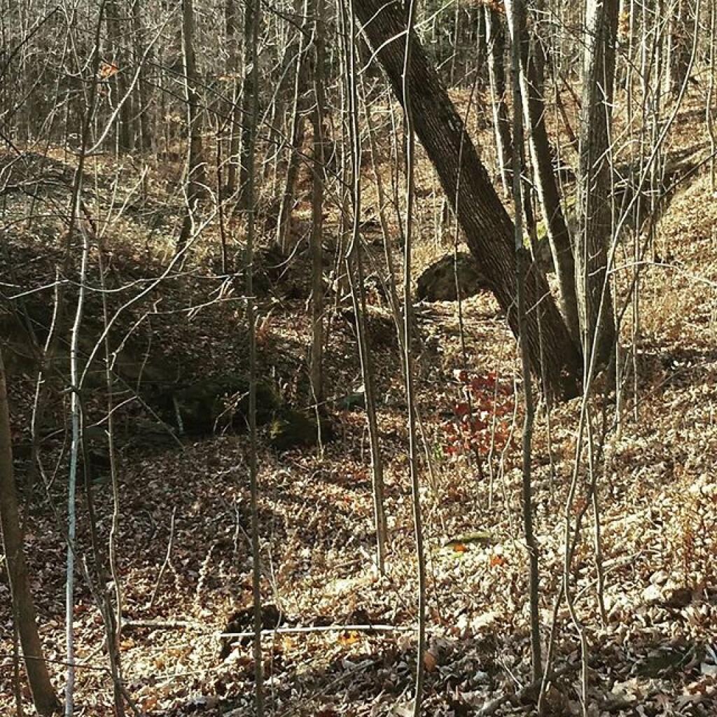 Photo: Top of the Ravine