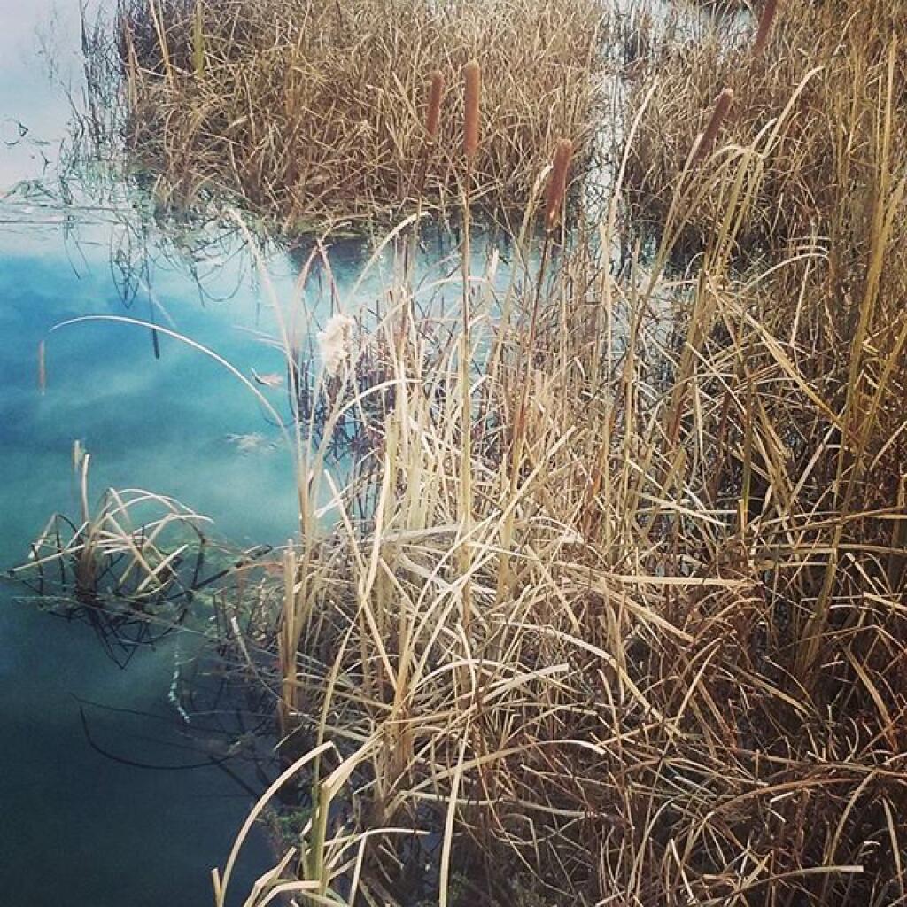 Photo: Not yet frozen
