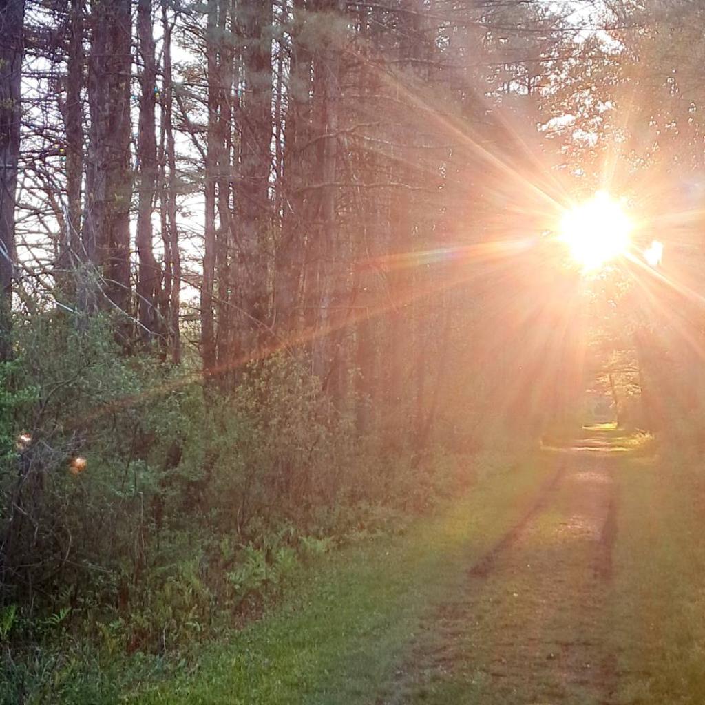 Photo: Into the Light [Expires May 21 2026]