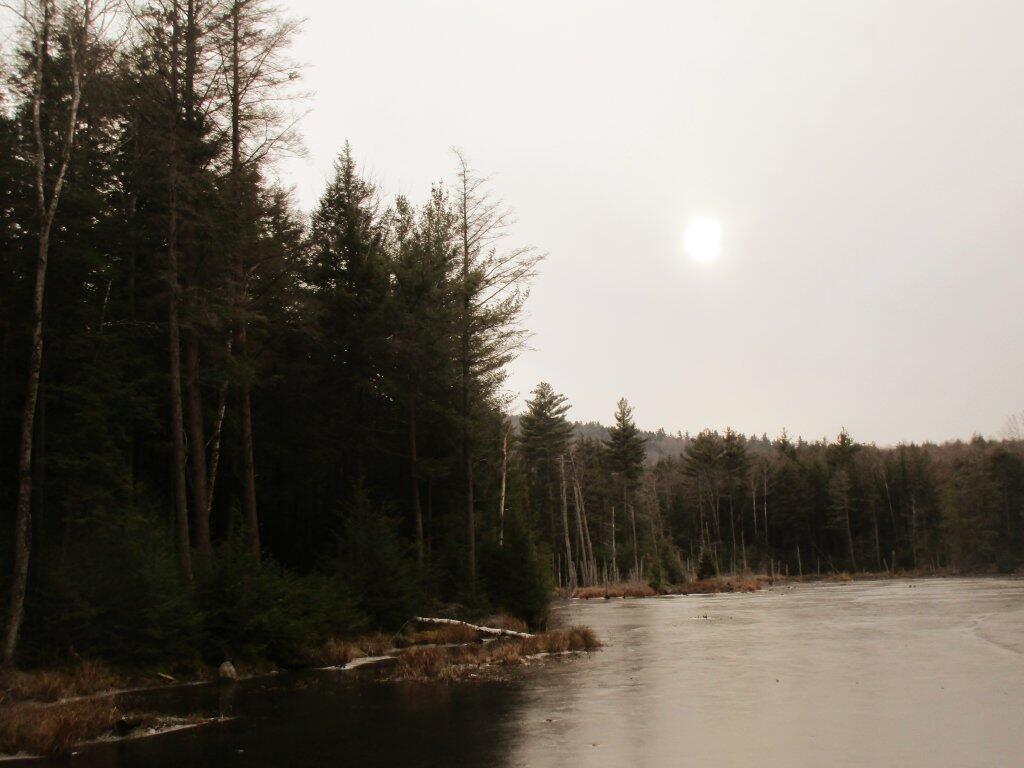 Photo: Pond Photo: Pond
