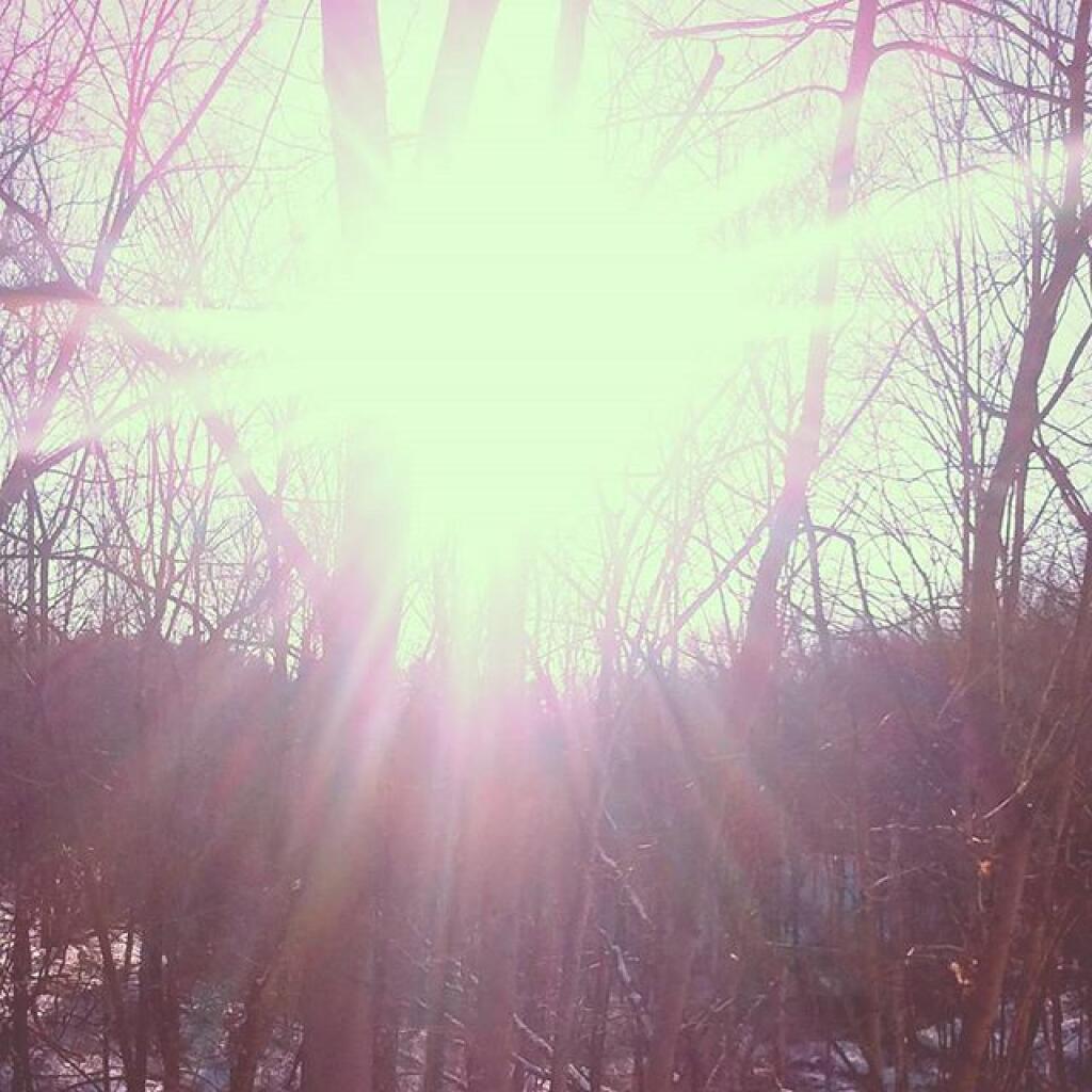 Photo: Sun Photo: Sun