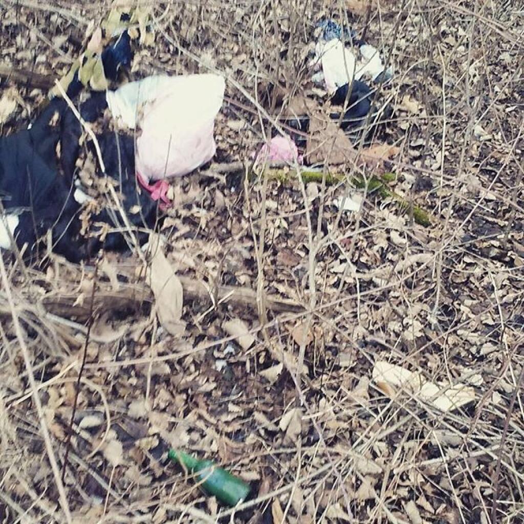 Photo: Washed up on the shores of the mighty Hudson