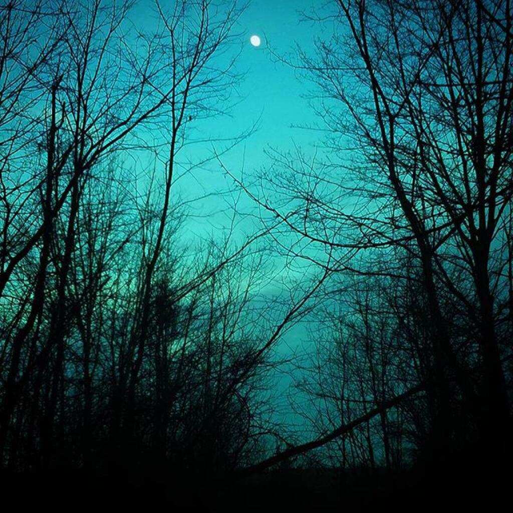 Photo: Almost the Blue Moon