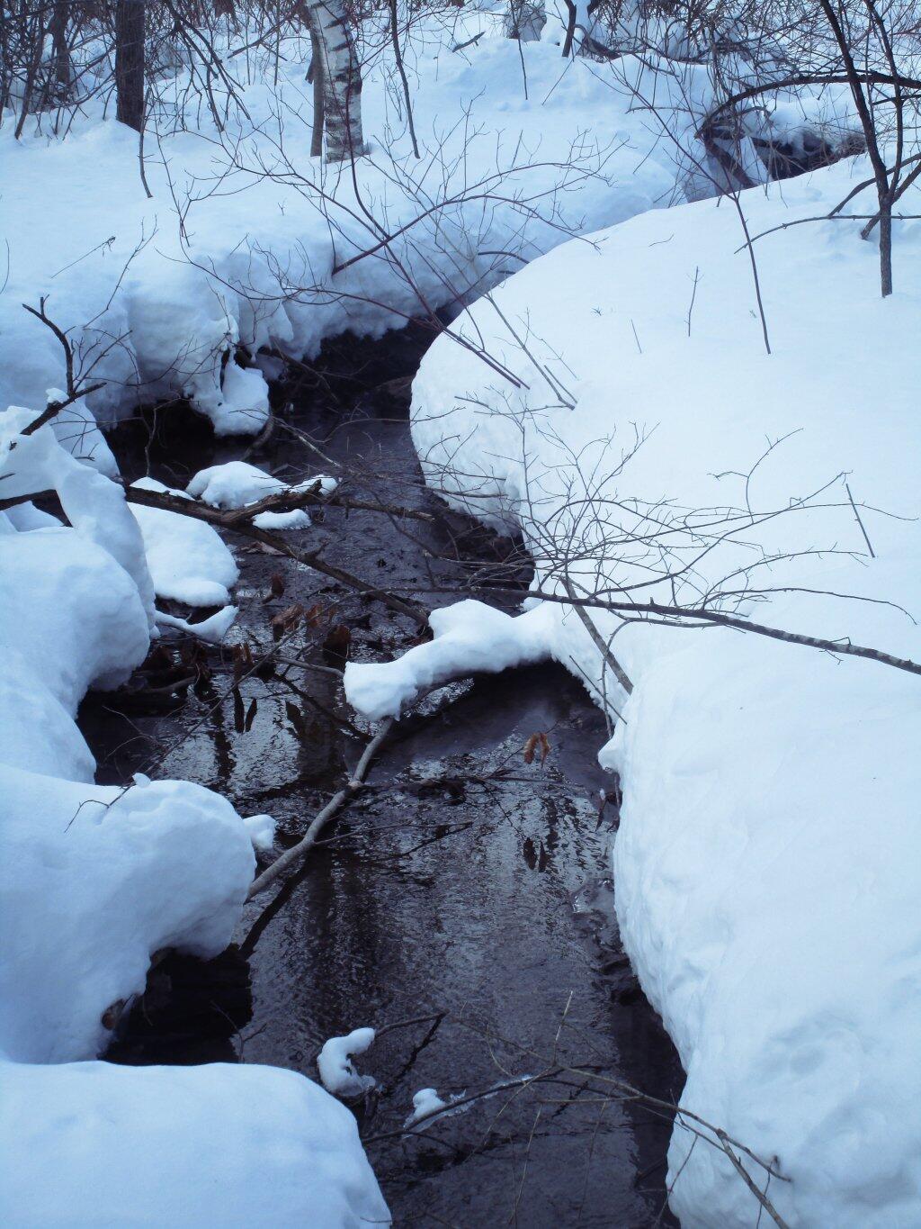 Photo: Thaw