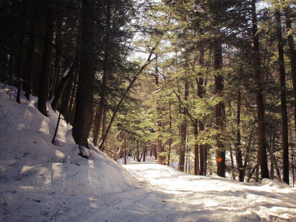 Photo: Snowmobiles Really Packed The Trail Down Well