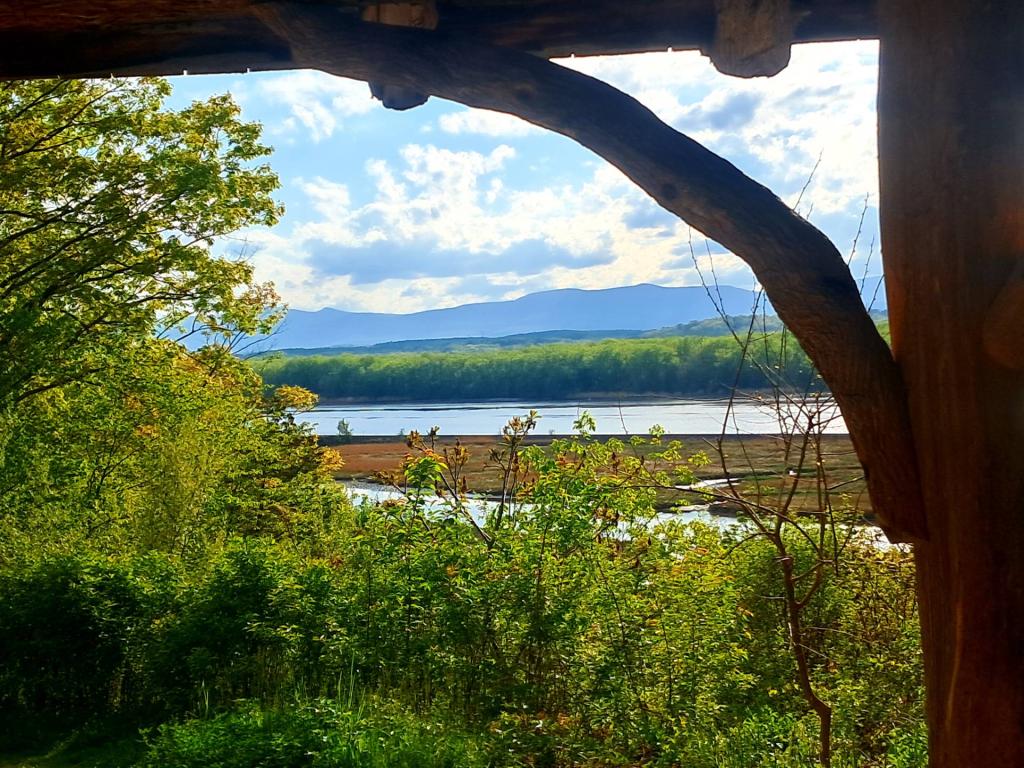 Photo: Archway Photo: Archway