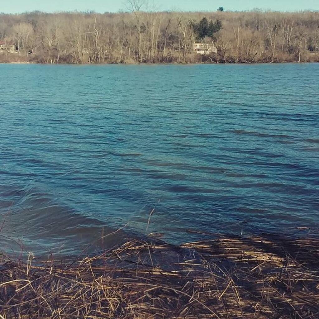 Photo: Across the creek