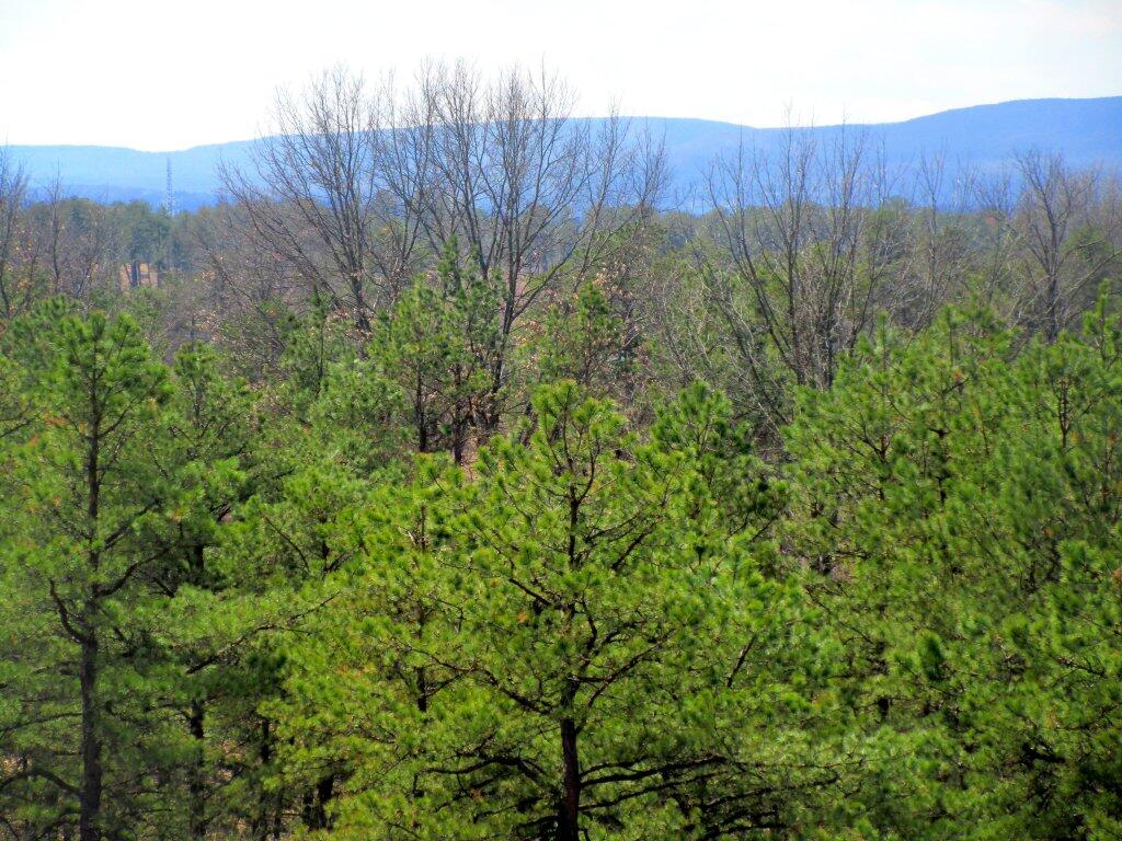 Photo: Off Overlook Dune