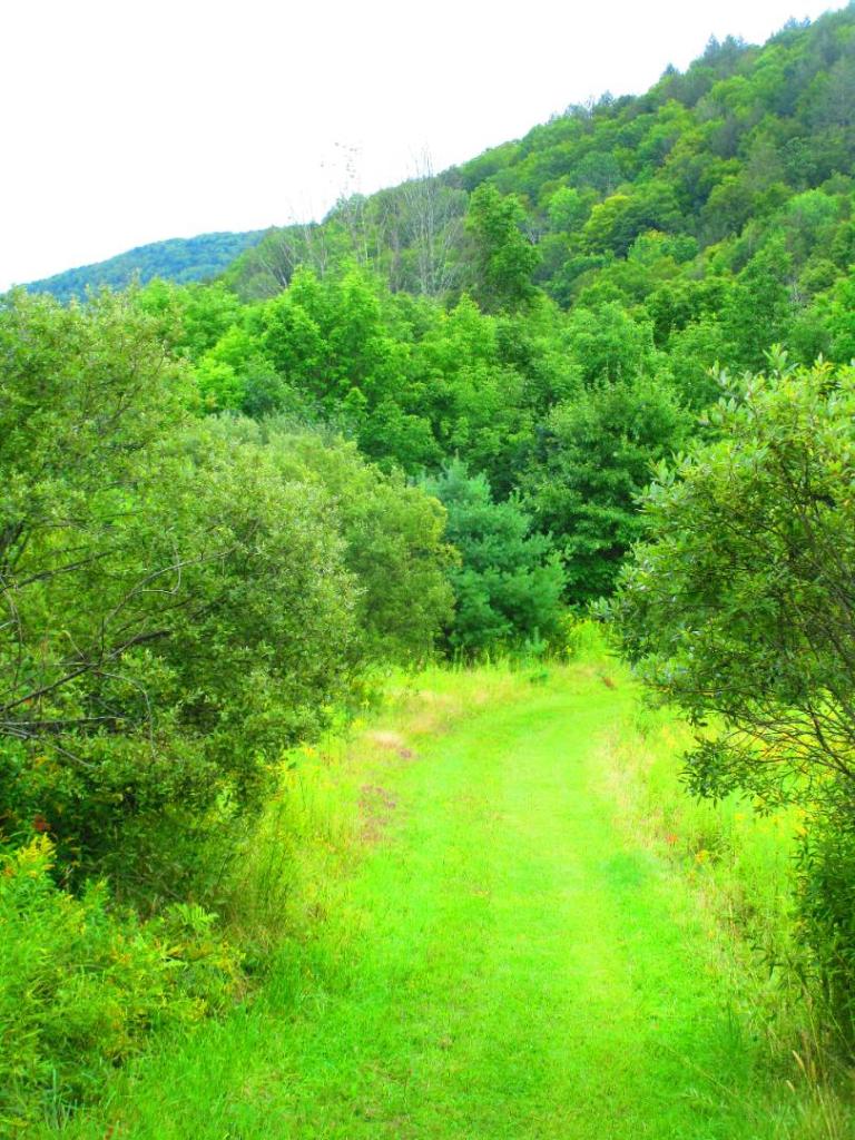Photo: Trail [Expires September 15 2026]