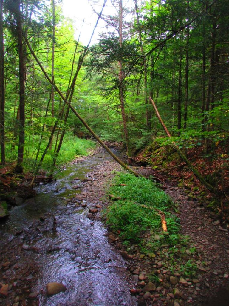 Photo:Donney Creek