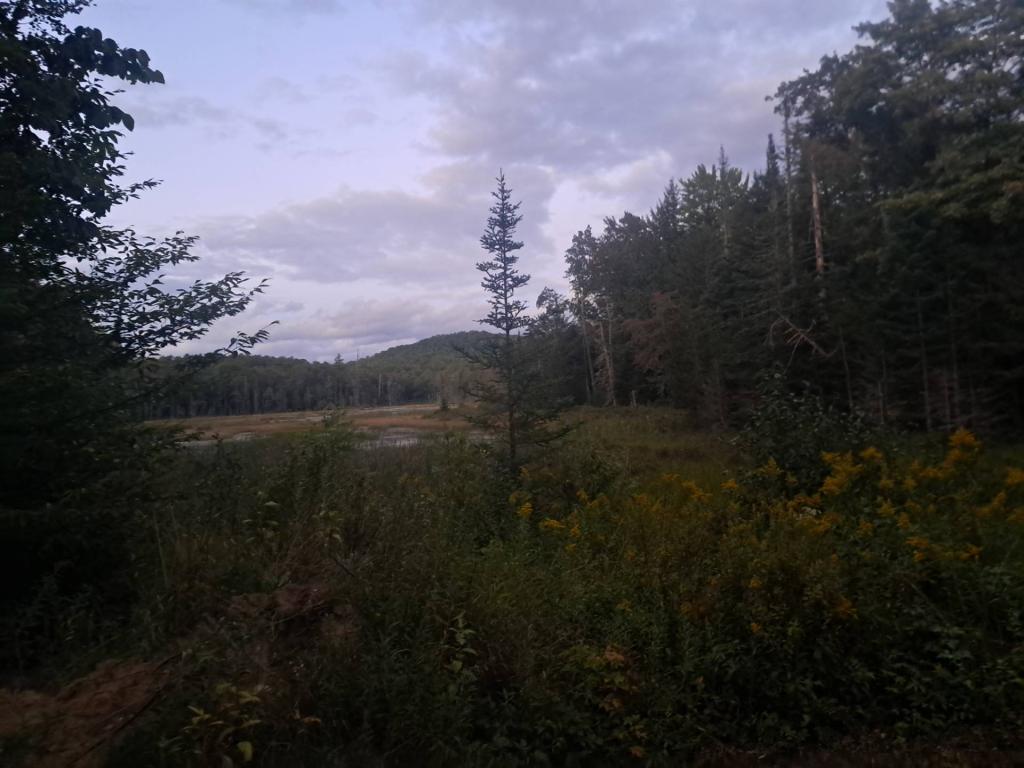 Photo: Untitled [Expires September 18 2026]