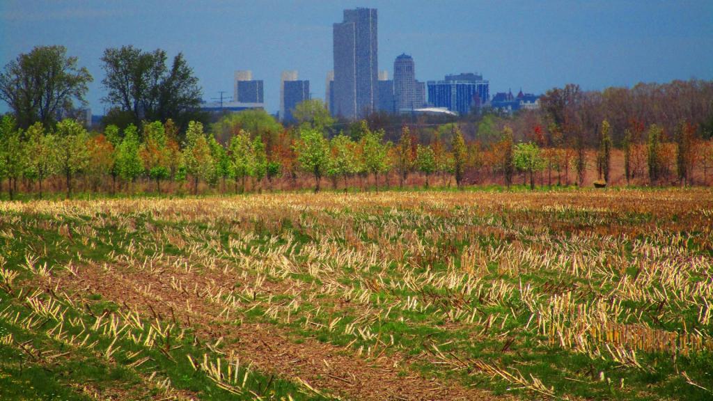 Photo: Albany Photo: Albany