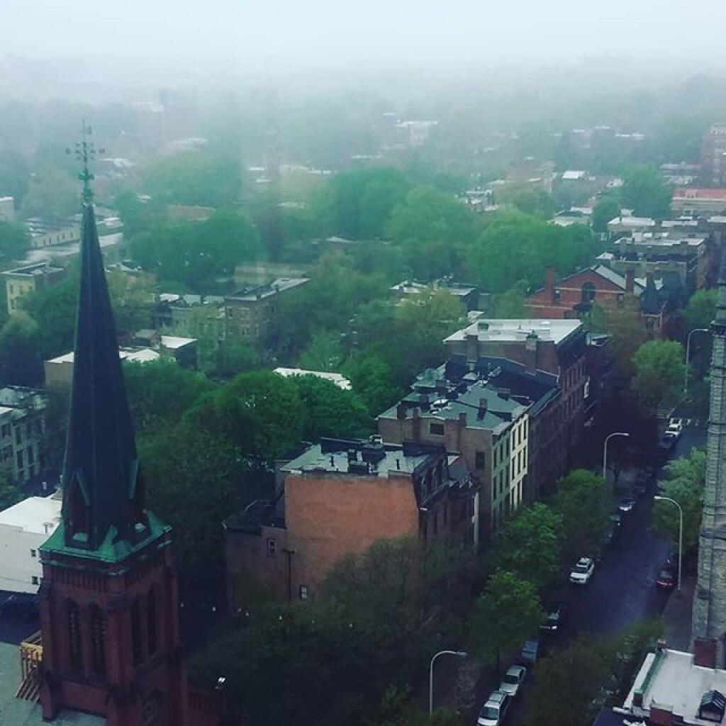 Photo: Dreary Day for Tulip Festival