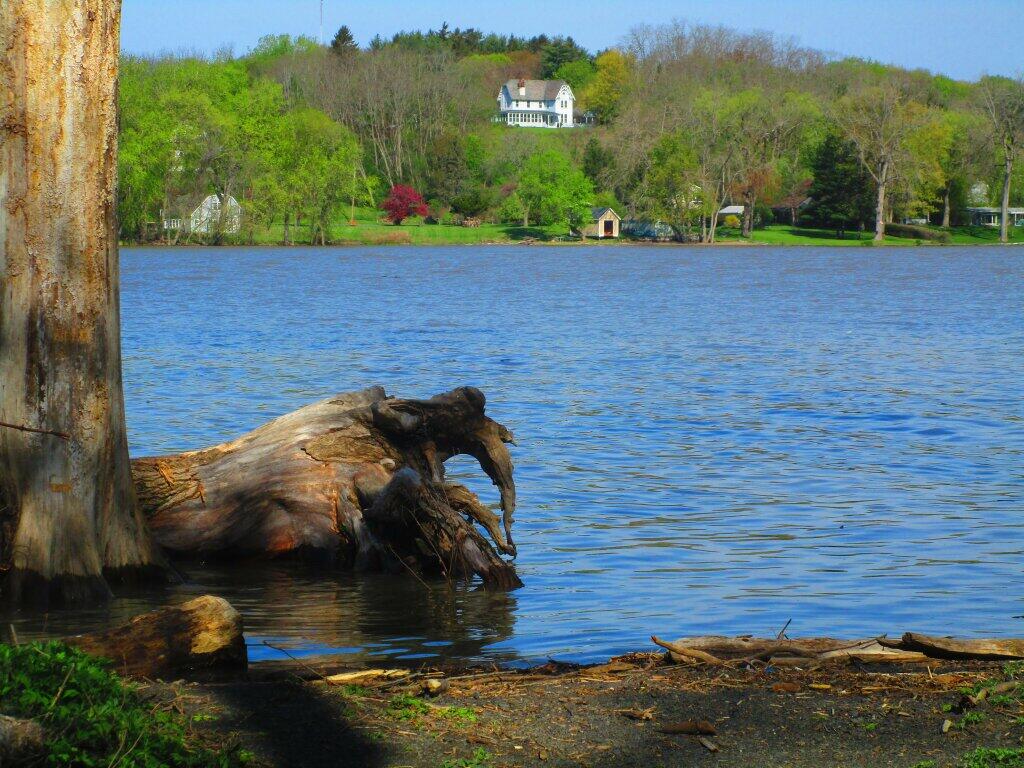 Photo: High Tide