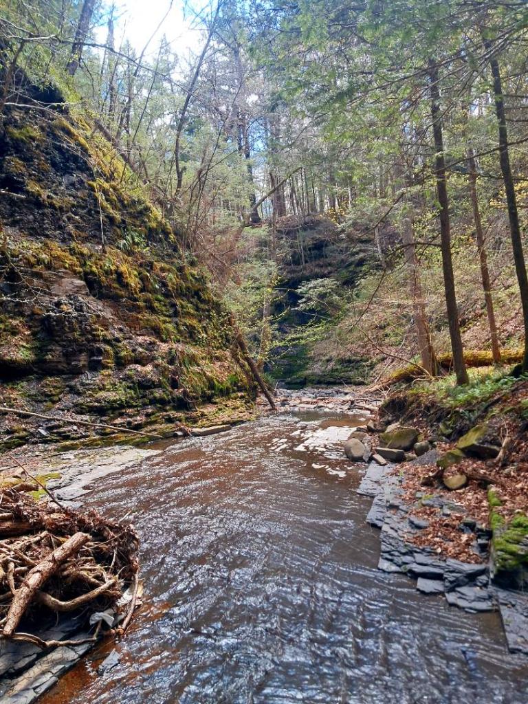 Photo: In the Ravine [Expires May 17 2026]