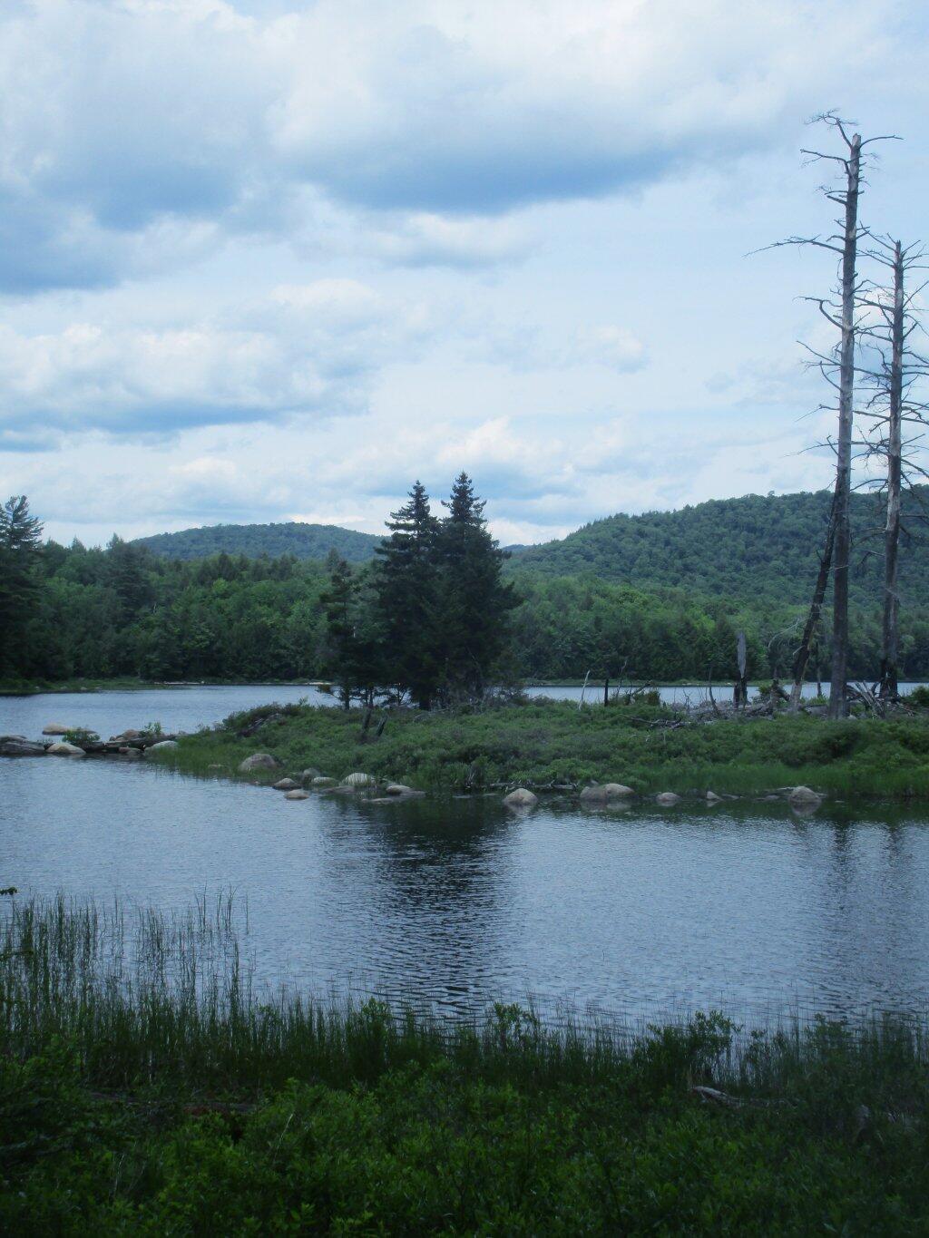 Photo: Island