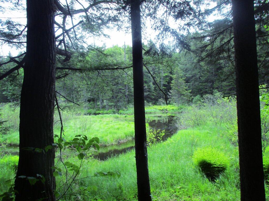 Photo: Wilcox Outlet Flatwater