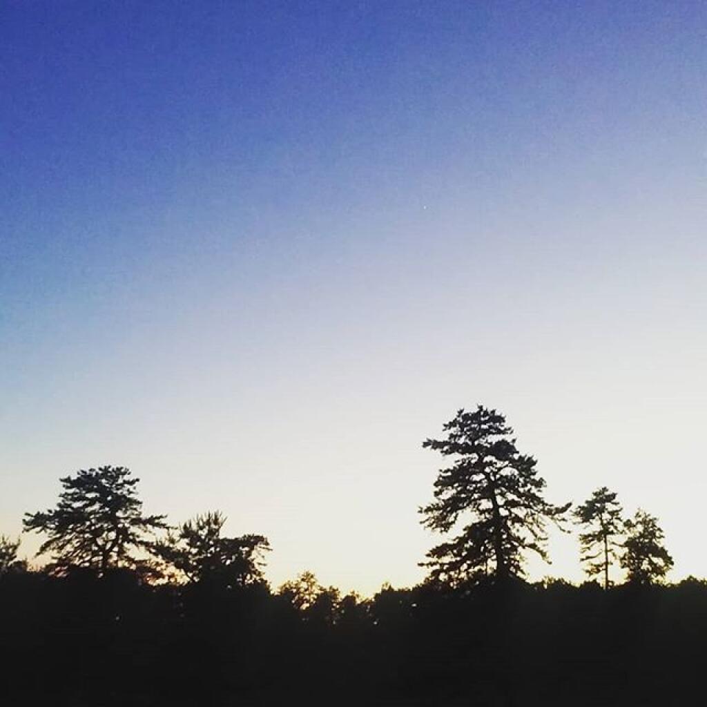 Photo: Dusk