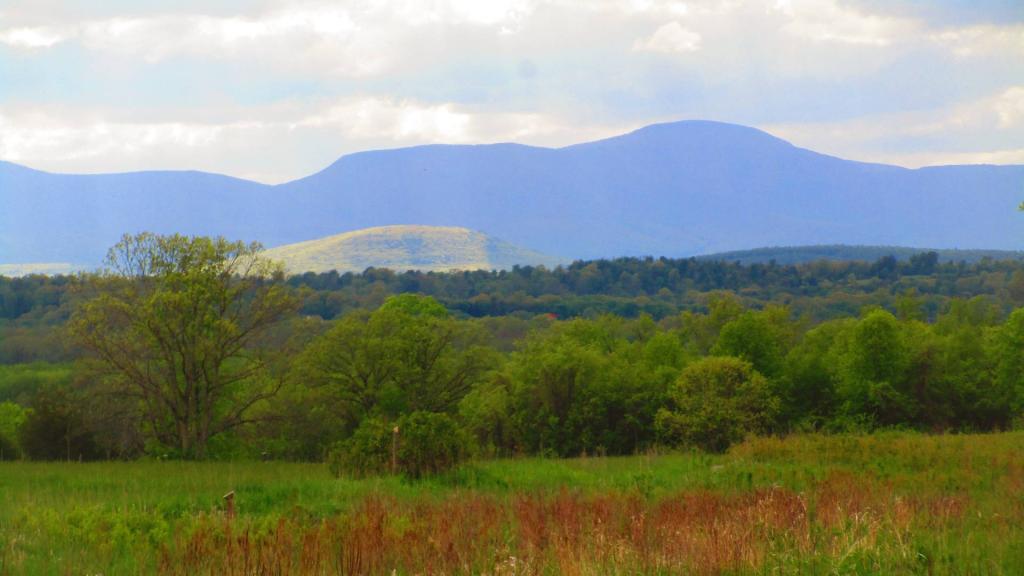 Photo: Round Top Highlighted from Empire Brickyards WMA